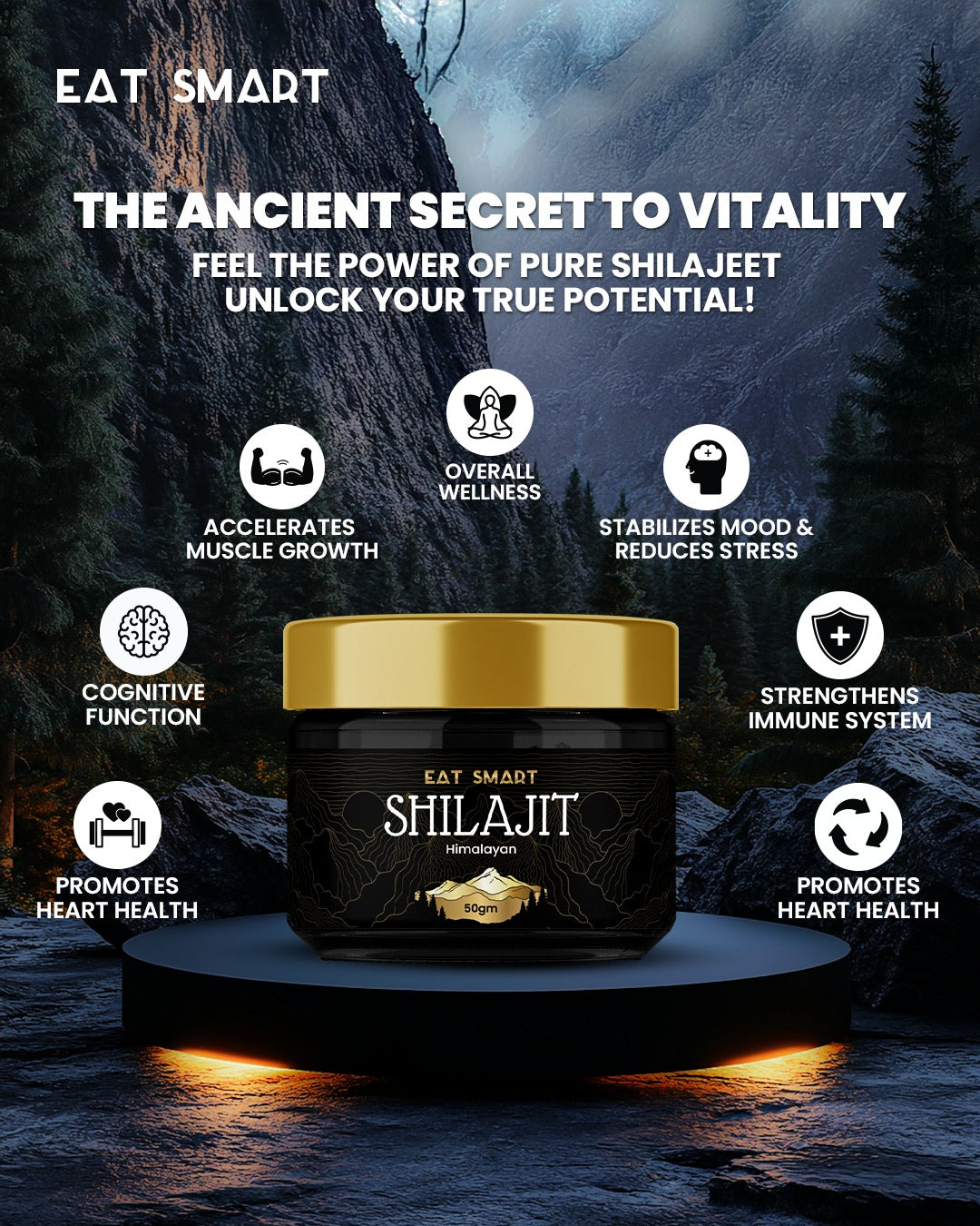 SHILAJIT - شلاجیت